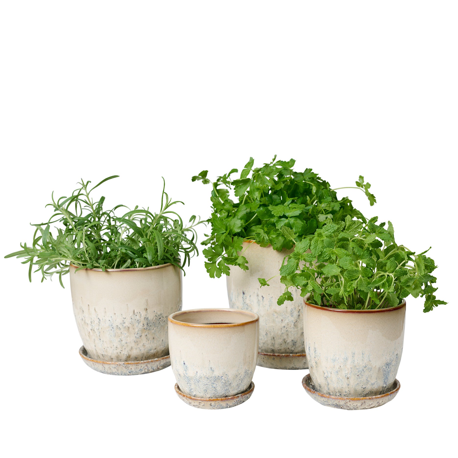 Pio II Blumentopf D14 cm